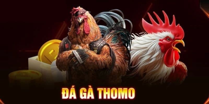 doi-net-ve-da-ga-thomo