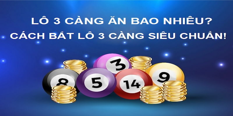 thong-tin-chung-ve-3-cang-lo