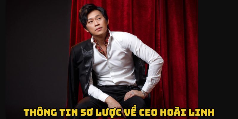 thong-tin-so-luoc-ve-ceo-hoai-linh