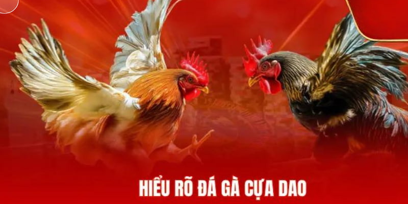 truc-tiep-da-ga-dao-luat