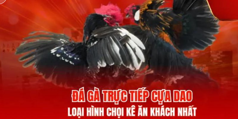 truc-tiep-da-ga-dao-uu-diem