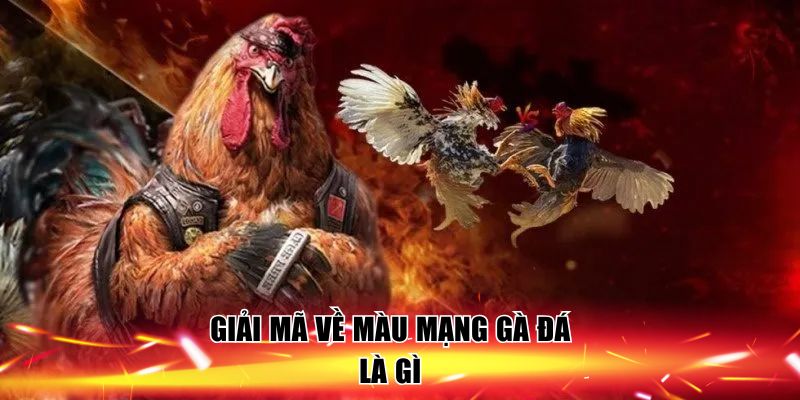 giai-ma-ve-mau-mang-ga-da-la-gi