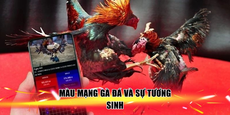 mau-mang-ga-da-va-su-tuong-sinh