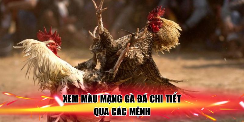 xem-mau-mang-ga-da-chi-tiet-qua-cac-menh